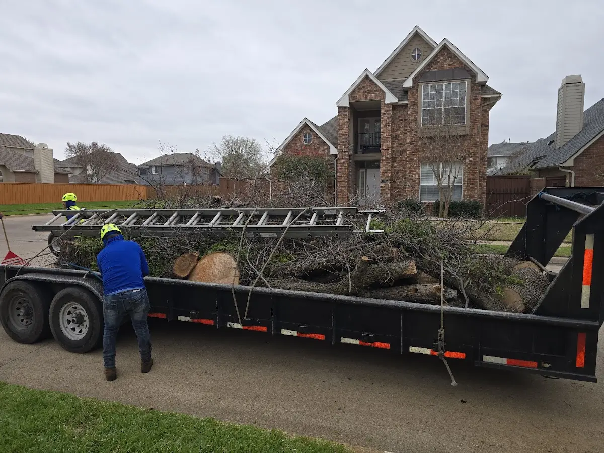 Expert Lot Clearing with proper safety equipment in Otwell